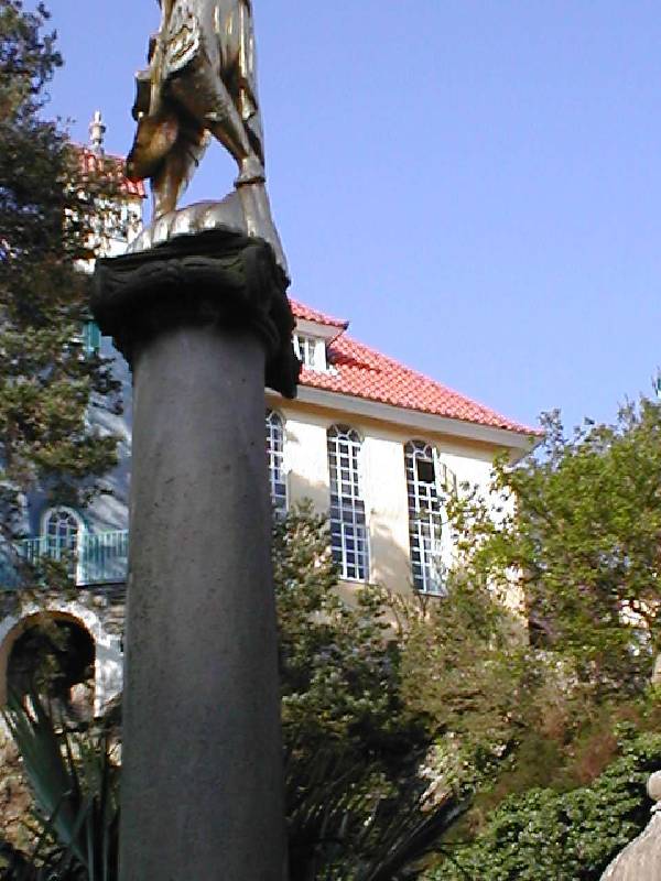 P1010049 